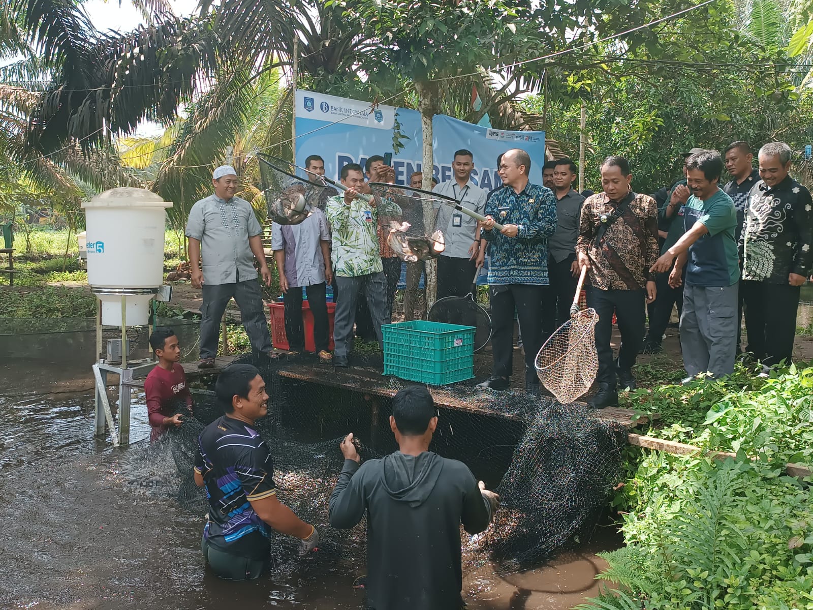 BI Babel Dukung Pokdakan Pinang Raya dengan Smart Farming dan Business Matching, Panen Ikan Air Tawar 3,4 Ton