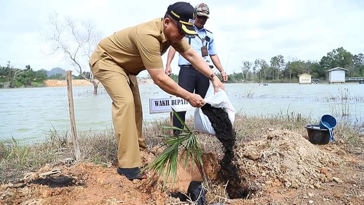 Penanaman 500 Pohon Tandai 31 Tahun PDAM Bangka