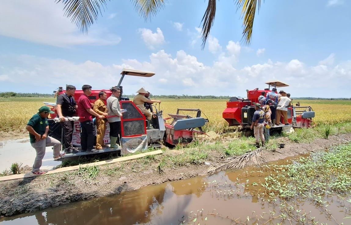 Panen Raya Padi di Rias, PJ Gubernur Harapkan Hal Ini Untuk Generasi Milenial