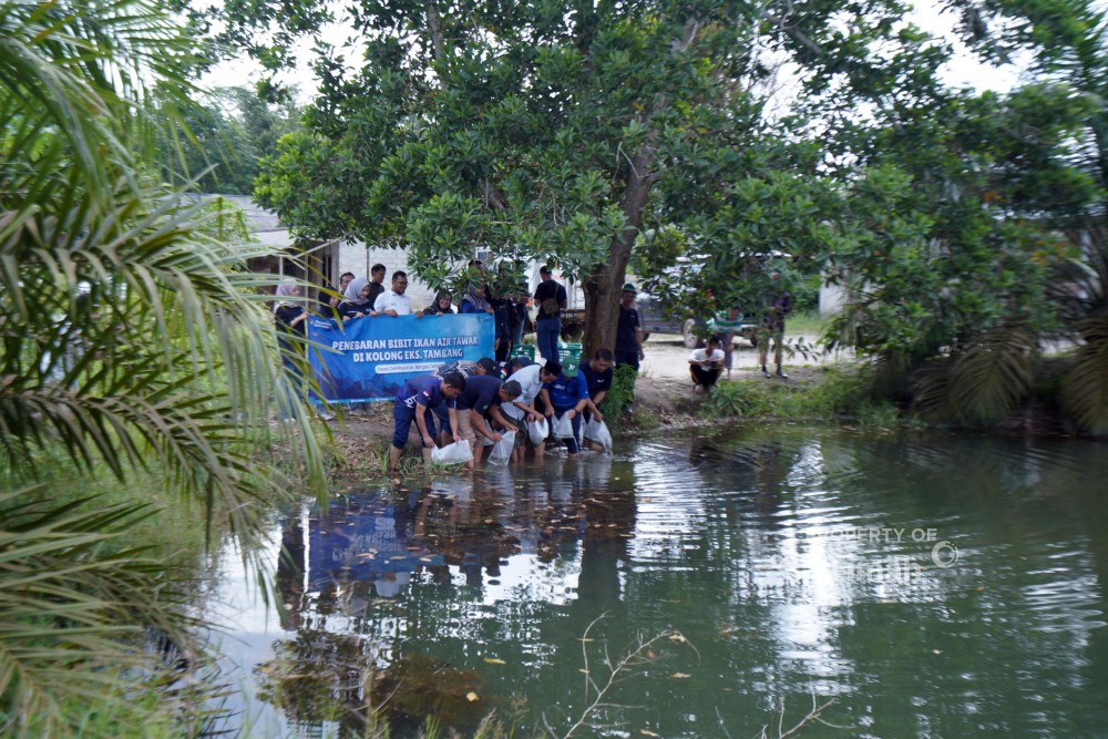 PT Timah Tbk Dorong Pemanfaatan Kolong Eks Tambang Jadi Ekosistem Produktif
