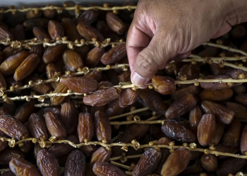 Bagus untuk Olahraga, Ini Waktu Makan Kurma yang Tepat Menurut Ahli Gizi