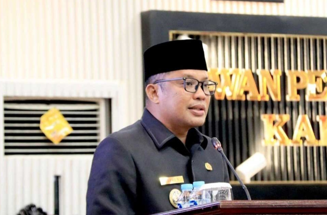 Raperda Pelestarian Batu Satam Belitung Disambut Positif, Pemkab Tekankan Manfaat Ekonomi