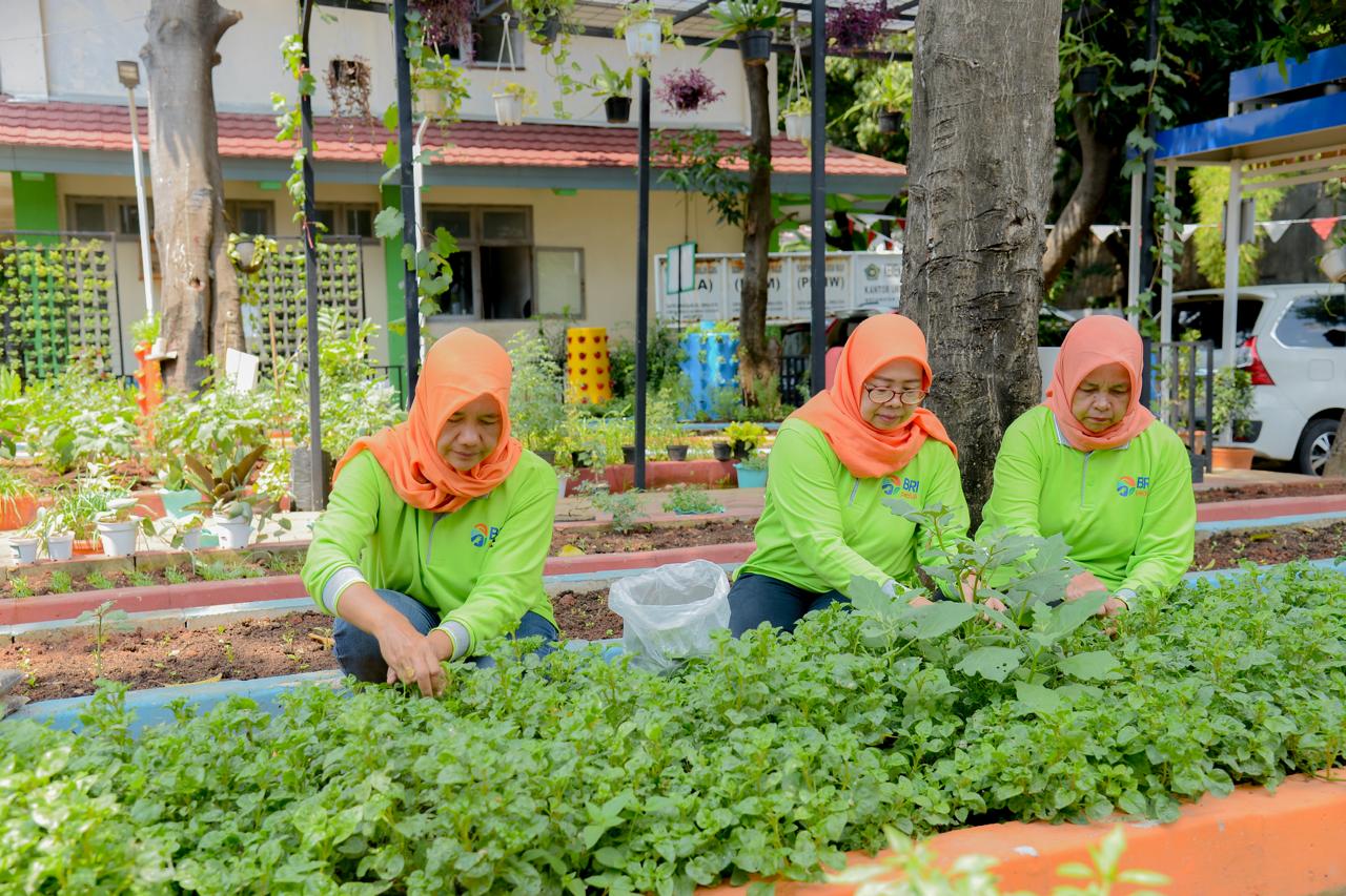 Didukung BRINita, Kelompok Tani Ini Sulap Lahan Terbengkalai Jadi Produktif