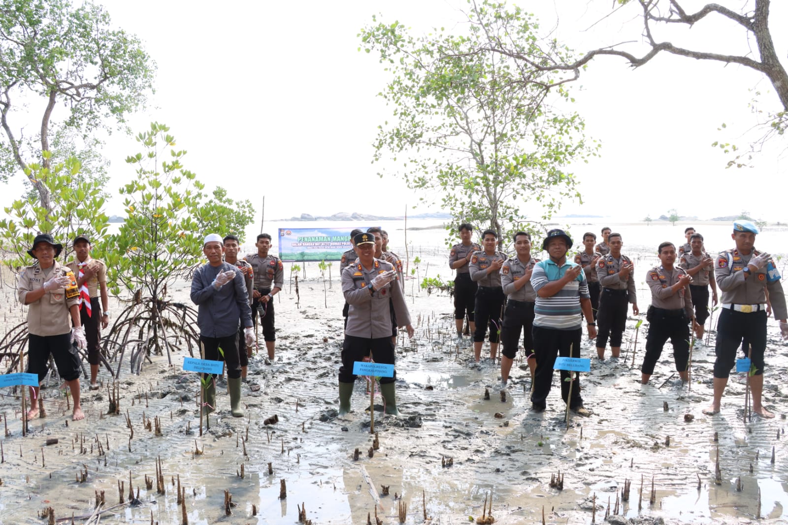 Sambut HUT Humas Polri ke-72, Polresta Pangkalpinang Tanam Mangrove di Pantai Telapak Antu Desa Batu Belubang