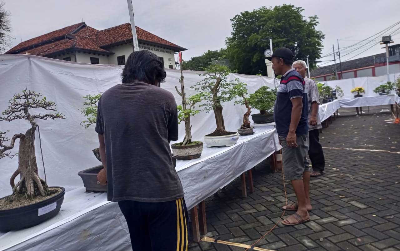 Peringati HUT ke 9, Museum Timah Indonesia Muntok Hadirkan Pameran Bonsai 