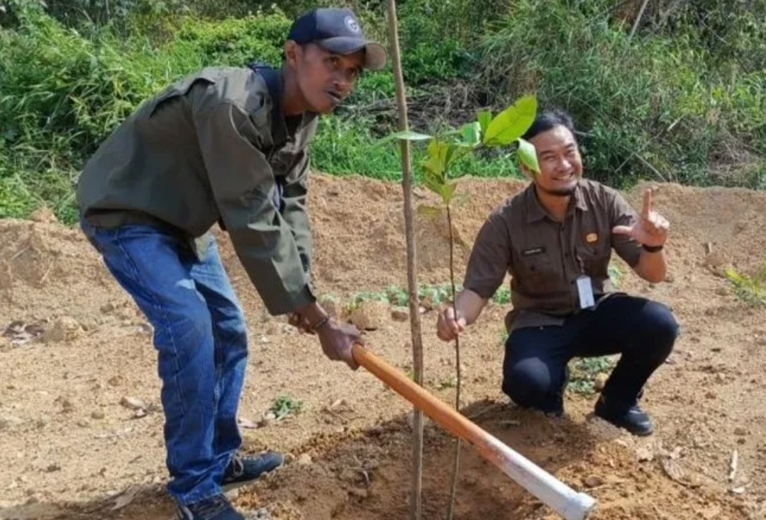 DLH Pangkalpinang Intensifkan Pelestarian Pohon Endemik Cegah Punah