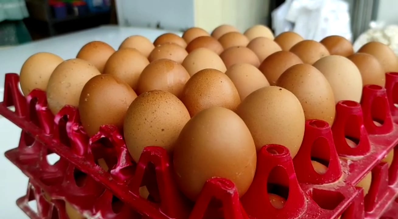 Harga Telur Ayam Merangkak Naik di Pasar Muntok