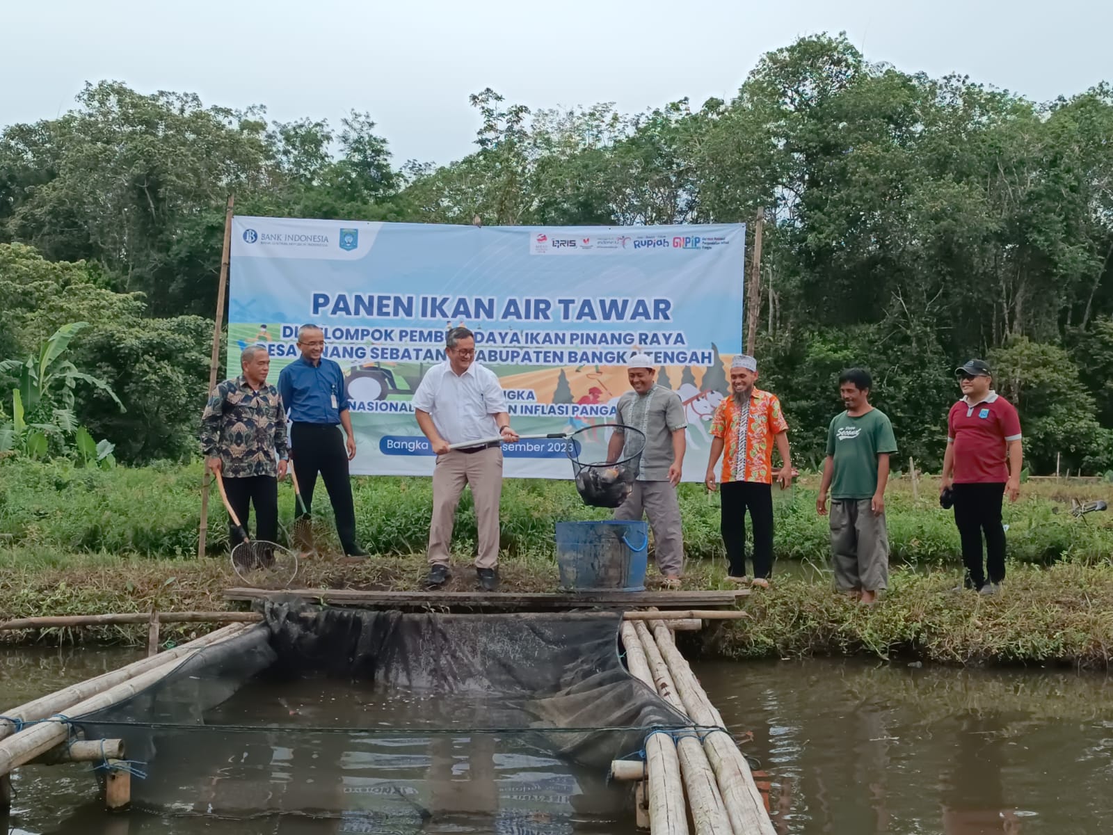 BI Babel dan Pokdakan Pinang Raya Desa Pinang Sebatang Panen 1,7 Ton Ikan Air Tawar