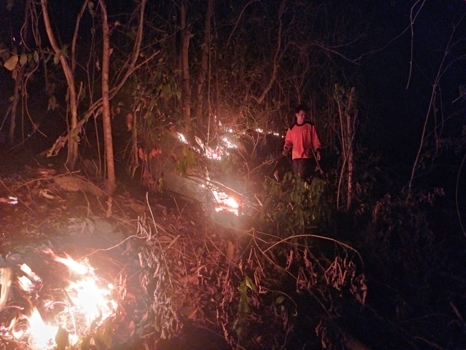 Jago Merah Membara di Bukit Pao