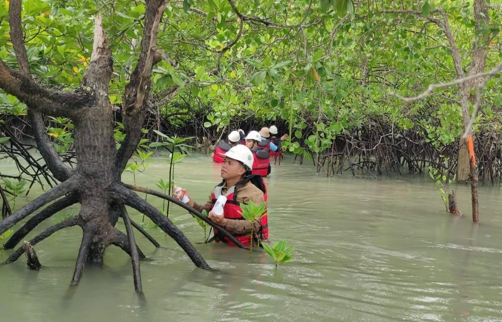 Rutin Melakukan Pemantauan Bioata Laut, Komitmen PT Timah Menjaga Keseimbangan Ekosistem Pesisir