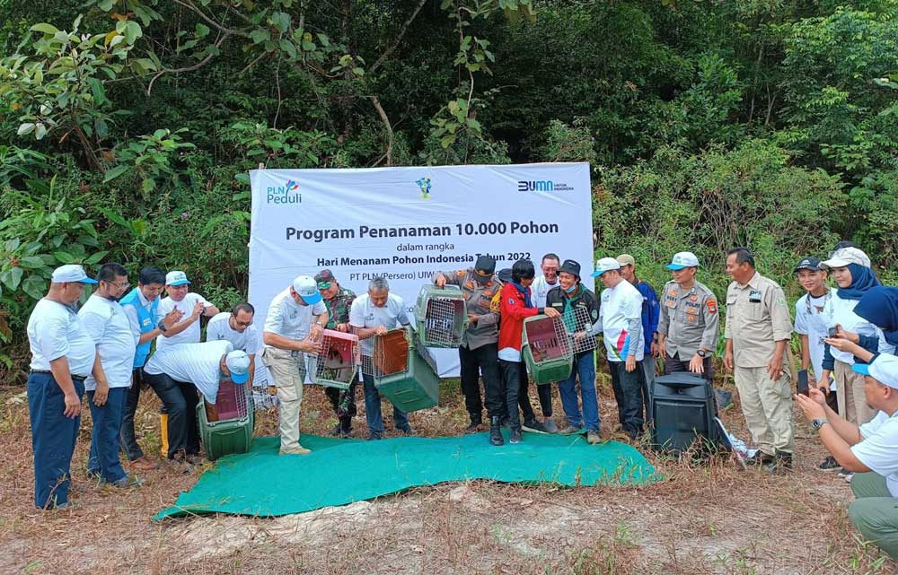 PLN Babel Tanam 1.600 Pohon di Kawasan Bukit Mangkol