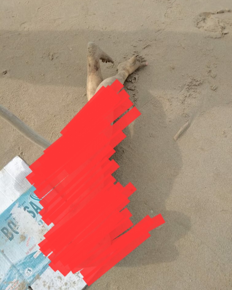 Heboh Mayat Wanita Tanpa Kepala di Pantai, Ternyata...