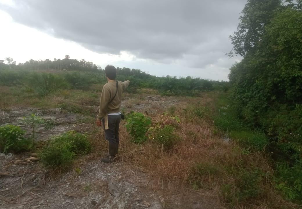 Dugaan Ratusan Hektar Lahan Sawah Serdang Beralih Fungsi Jadi Perkebunan Sawit Perusahaan, BPD: Memprihatinkan