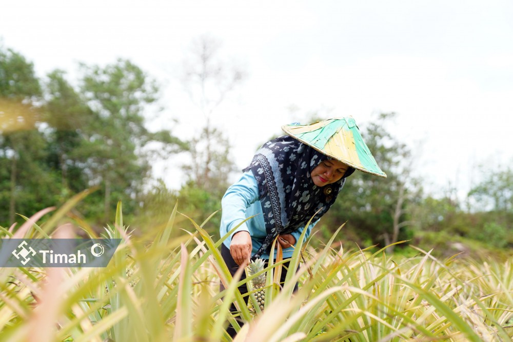 Zulyanti Sosok Inspiratif Dibalik Suksesnya Kelompok Tani Aek Jelutung