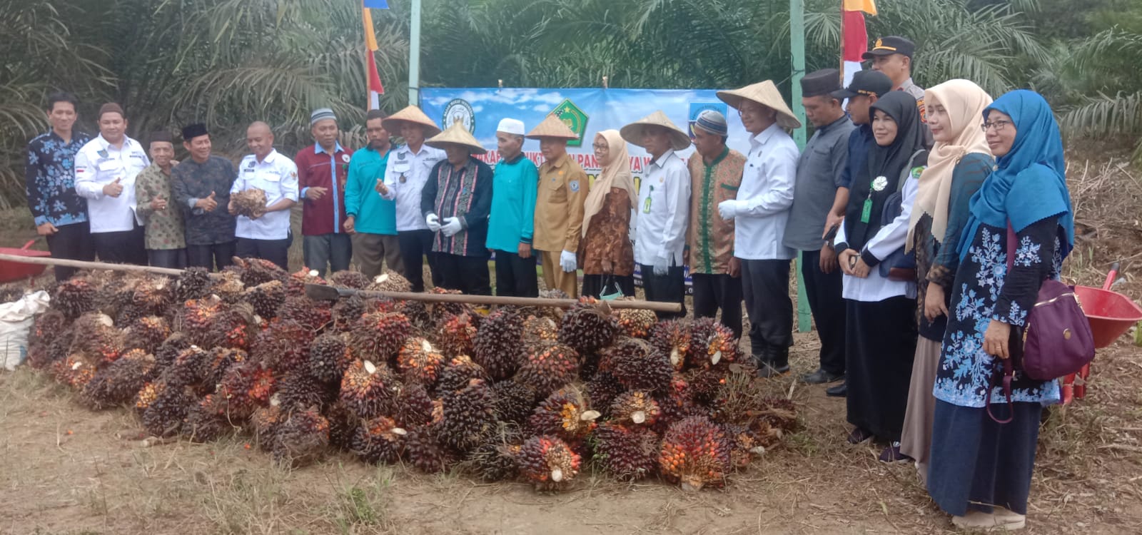 Kemenag Apresiasi Launching Wakaf Produktif dan Panen Raya Kelapa Sawit Desa Bedengung 