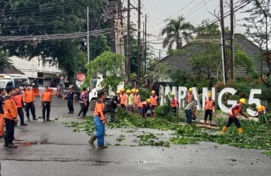 Pohon Membahayakan di Pangkalpinang Ditebang