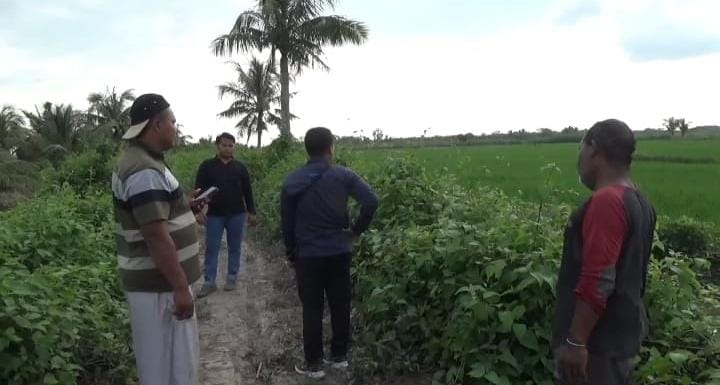 Petani Dusun SPA Rias Keluhkan JUT Rusak, Biaya Angkut Gabah Capai Rp 30 Ribu