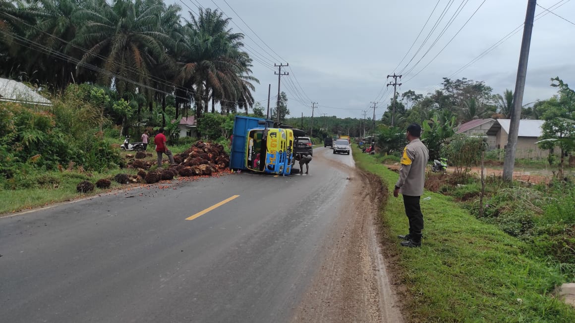 Hindari Motor, Truk Pengangkut 7 Ton TBS Sawit Terguling di Desa Terentang