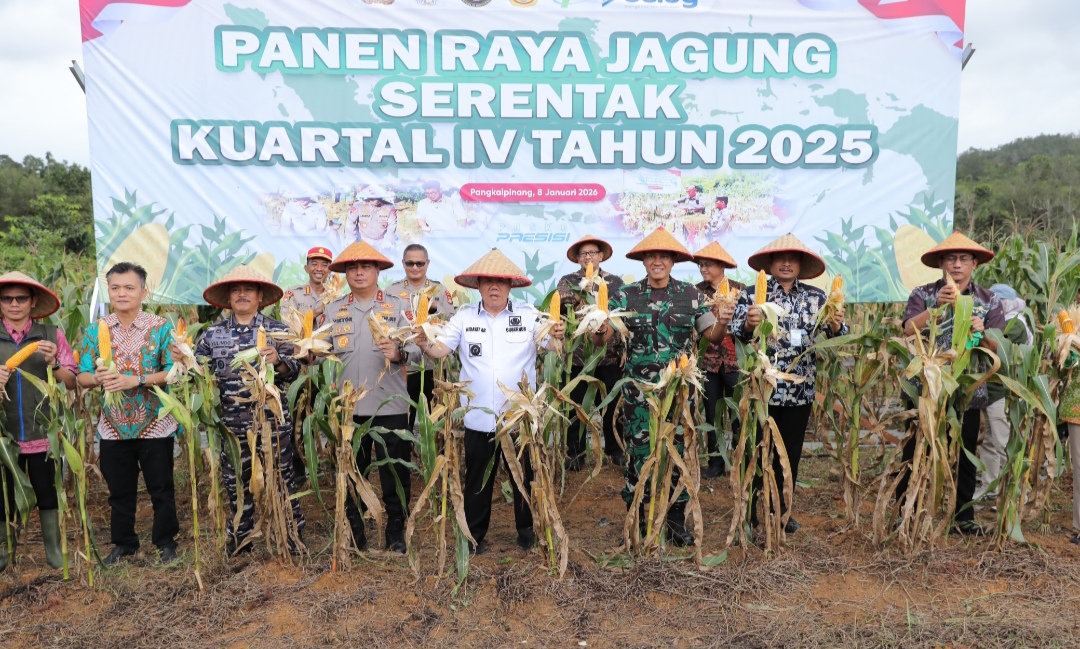 Bukti Nyata Dukung Swasembada Pangan : Gubernur Hidayat Arsani Hadiri Panen Raya Jagung Serentak 