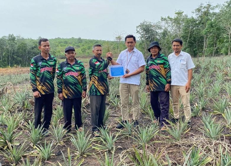 Perkuat Ekonomi Masyarakat, PT Timah Bantu Petani di Kundur Lewat Bibit Tanaman