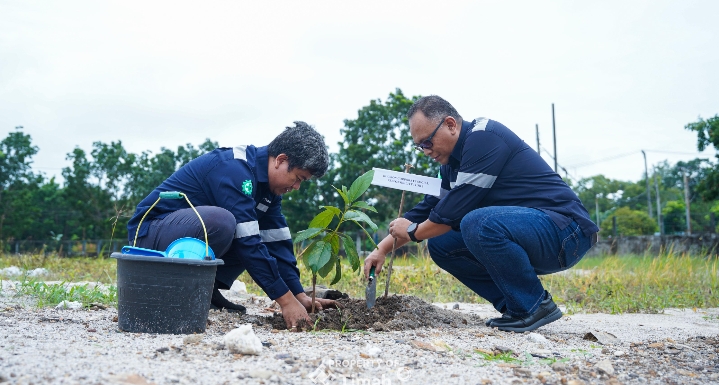 Kolaborasi dengan Pemerintah, PT Timah Tanam 500 Pohon Buah Dalam Rangka Peringatan Bulan K3 Nasional 