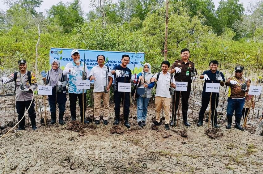 Jaga Ekosistem Pesisir, PT Timah Tbk Tanam Ribuan Mangrove di Pantai Kobel Kundur