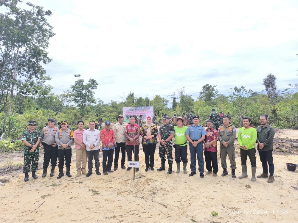 Rehabilitasi DAS di Bangka Selatan, PT TAM Kolaborasi Bersama Korem 045 Gaya Tanam Pohon Kayu Putih 