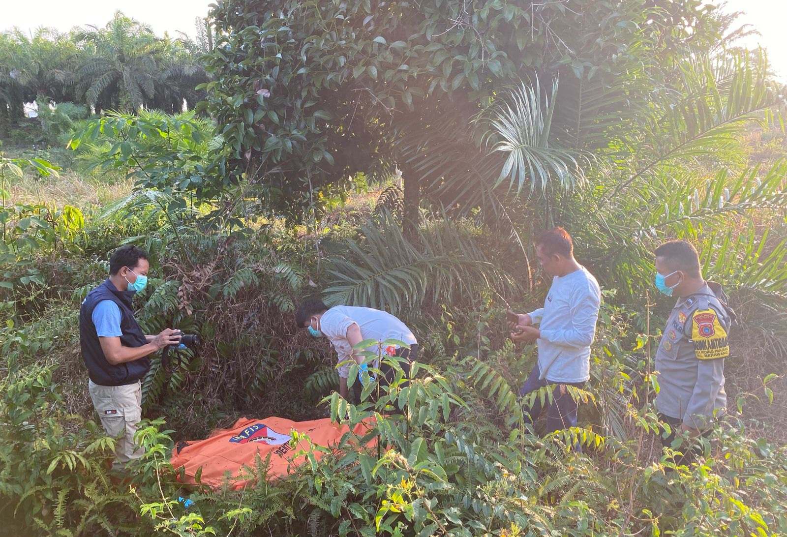 Sempat Hilang di Kebun Sawit Ridingpanjang, Kakek 74 Tahun Ditemukan Telentang Bawah Pohon Manggis