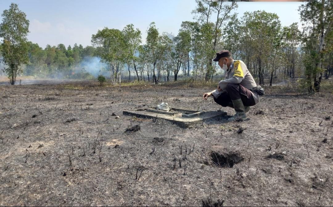 Kapolsek Lepong Ajak Jaga Ekosistem Mangrove 