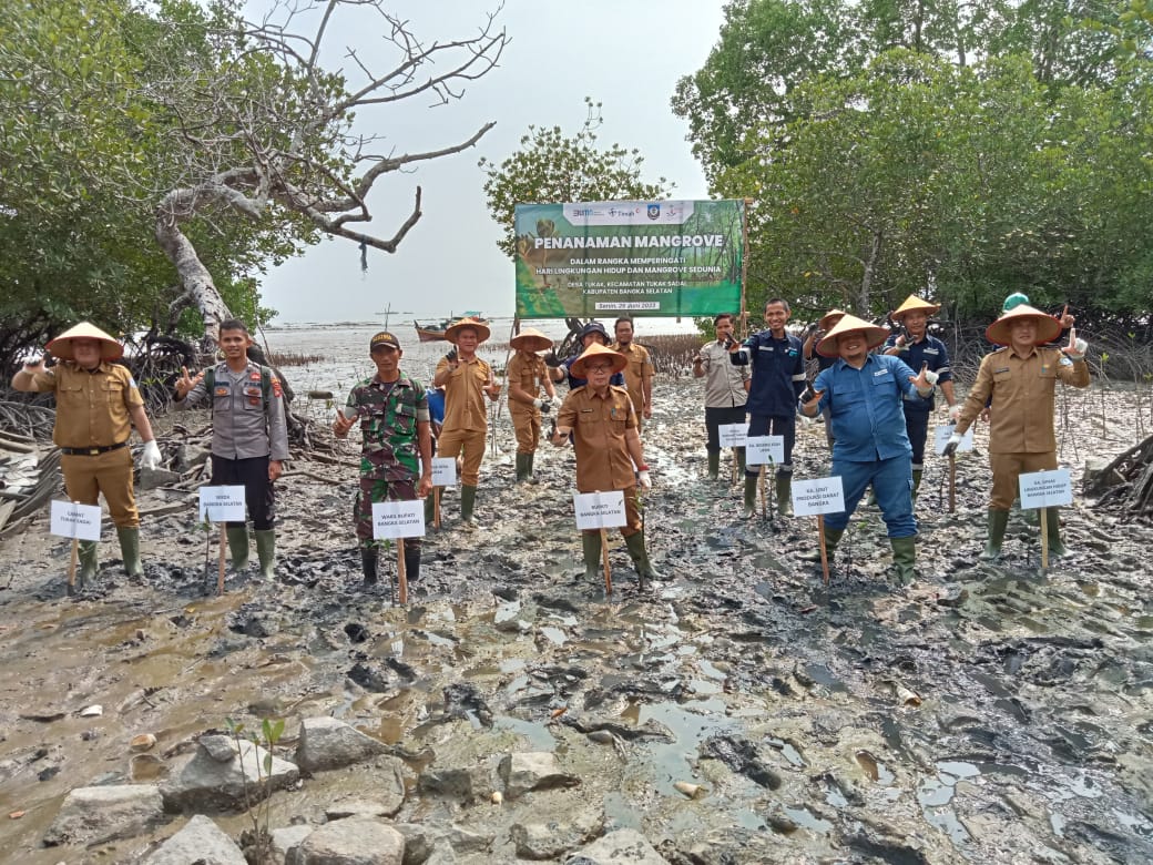 Pemkab Basel Tanam Mangrove di Desa Tukak