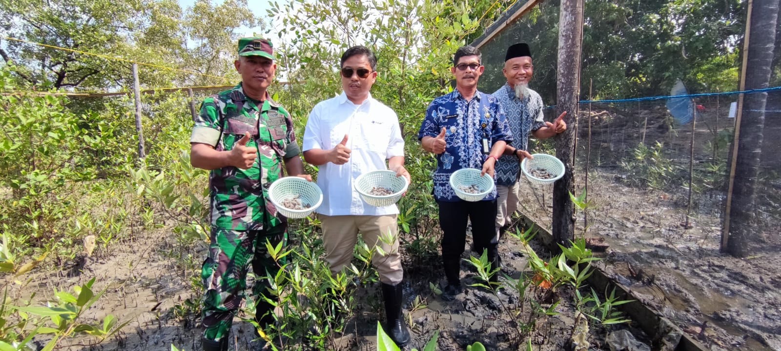 Budidaya Keong Hisap, Pokdakan Maju Bersama Desa Sawang Laut dan PT Timah Tbk Panen Puluhan Kg Keong Hisap