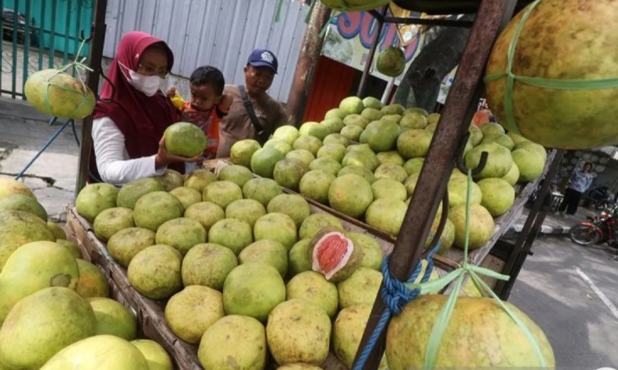 Kalau Minum Obat, Sebaiknya Hindari Makan Buah Ini 