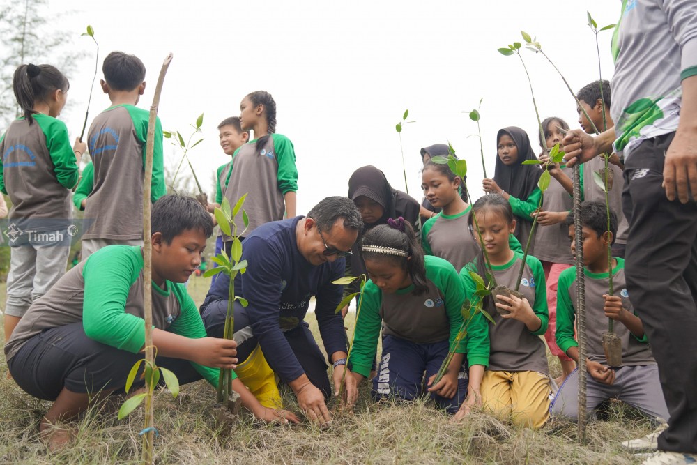 Program Dukung Sekolah Adiwiyata, PT Timah Tbk Bersama Pelajar di Kabupaten Bangka Tanam 3000 Bibit Mangrove 