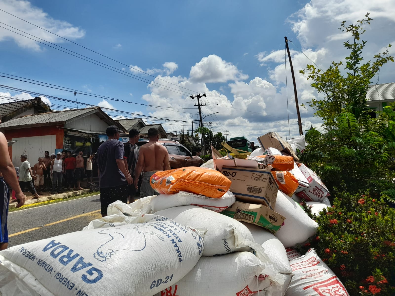 Truk Muatan Pakan Hewan Terbalik di Belilik