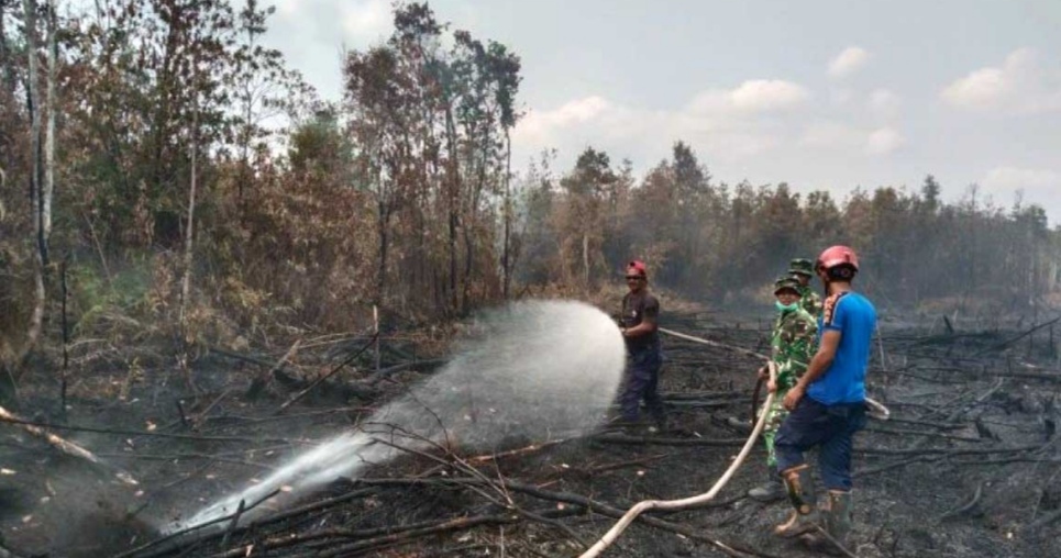 Belitung Catat 582 Kejadian Bencana 2026, Karhutla Jadi Kasus Terbanyak