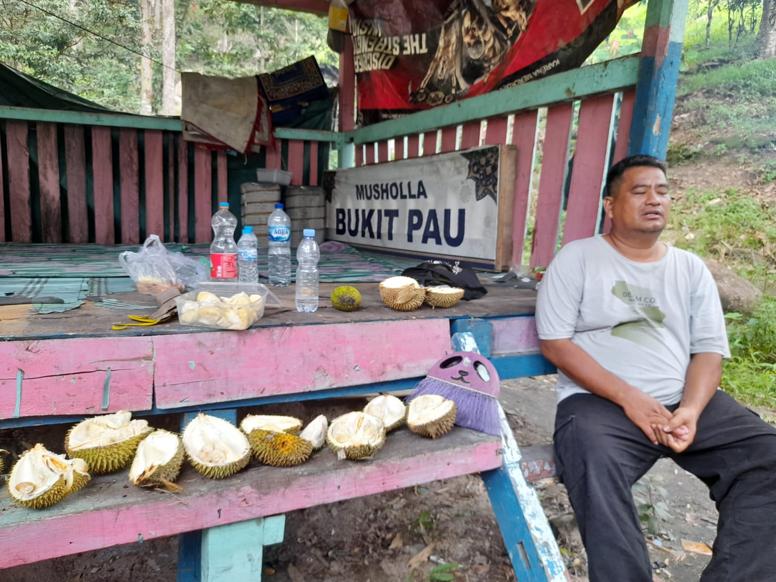 Luar Biasa, Sensasi Makan Durian Jatuh di Bawah Bukit Pao Bangka Tengah 