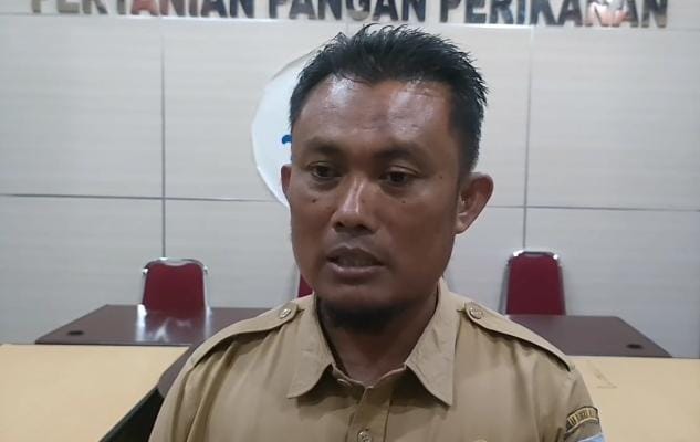 Dinas Pertanian Ajak Masyarakat Beli Beras SPHP, Ini Alasannya