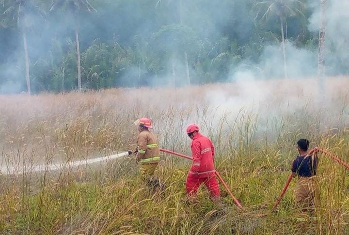 Ternyata, 90 Persen Karhutla di Bangka Tengah Ulah Manusia