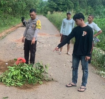 Pemotor Tewas Tertimpa Pohon Karet Saat Melintas di Desa Simpang Yul