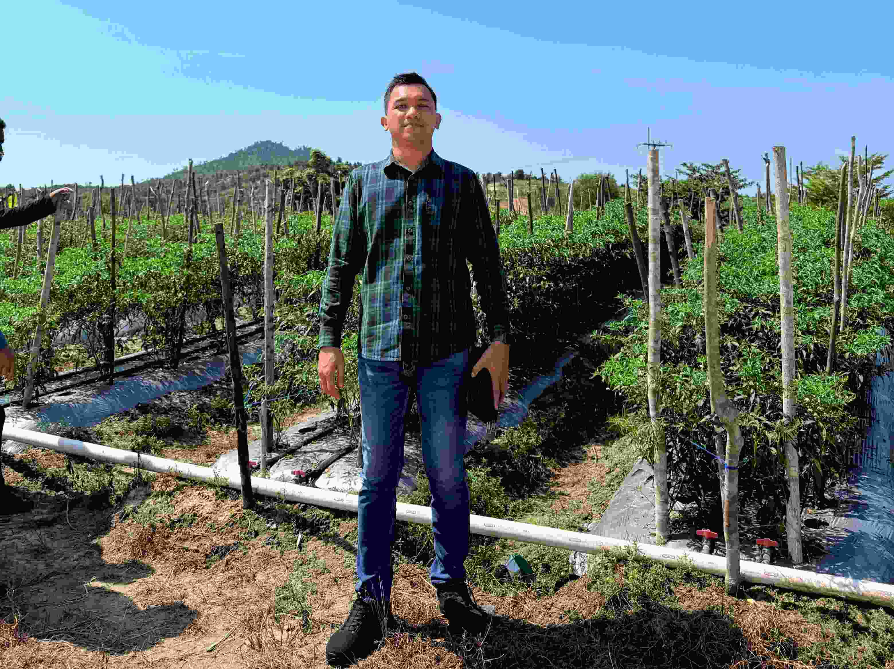 Mengendalikan Inflasi dari Meja Makan