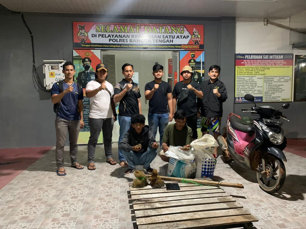 Curi Udang di PT BBLS, 2 Pemuda Terentang Diringkus Tim Cobra