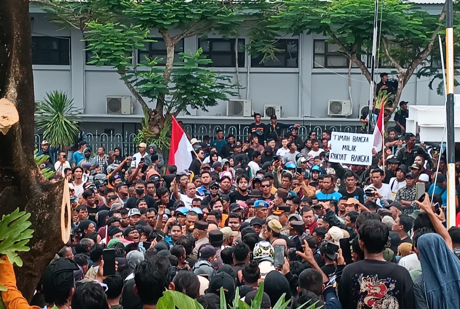 Sempat Memanas Hingga Aksi Bakar,  PT Timah Kabulkan Tuntutan Penambang, Harga Timah SN 70 Persen Rp300 Ribu