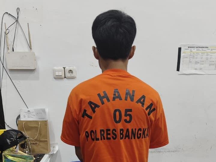 Edar Ganja, Warga Belinyu Ini Diciduk Satreskoba Polres Bangka 