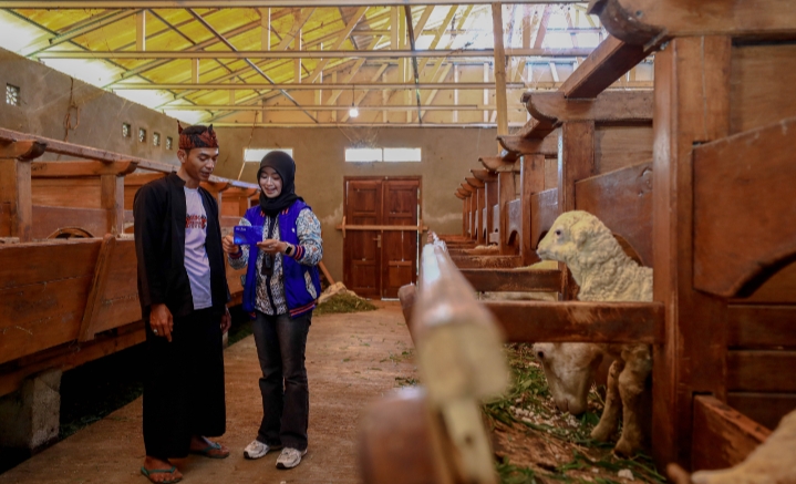 Idul Adha Jadi Momentum, BRI Peduli Tingkatkan Produktivitas Peternak Domba di Desa BRILiaN Sukalaksana Garut