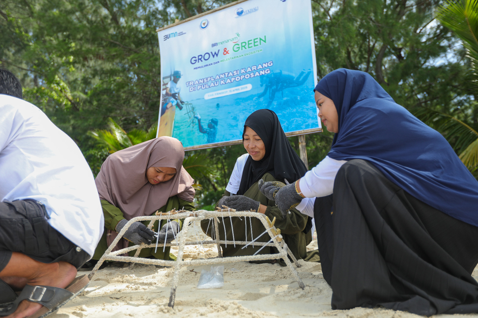 Jaga Ekosistem Laut Tetap Lestari, Ini Aksi Nyata BRI Menanam - Grow and Green di Pulau Kapoposang