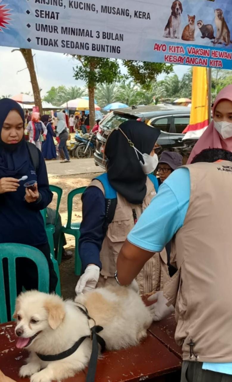 DPPP Basel Gencar Sosialisasikan Penyakit Rabies