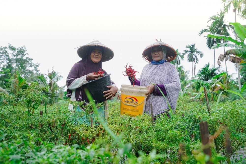 Dari Desa untuk Bangsa, PT Timah Dukung Kemandirian Ekonomi Masyarakat Melalui Pemberdayaan Potensi Lokal