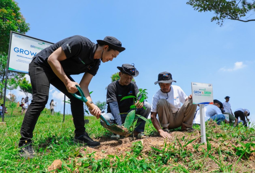 Pulihkan Hutan Bekas Tambang, Aksi Nyata Kelompok Tani Selamatkan Lingkungan Bersama BRI Menanam-Grow & Green