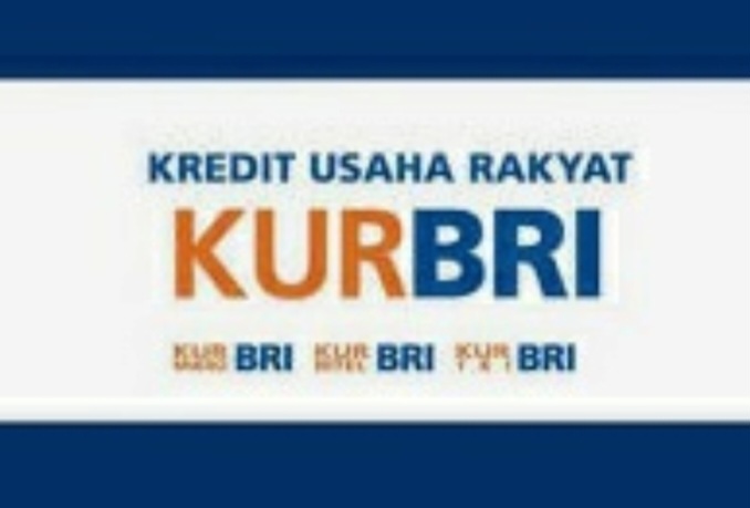 Cara Mengajukan KUR BRI Agar Cair