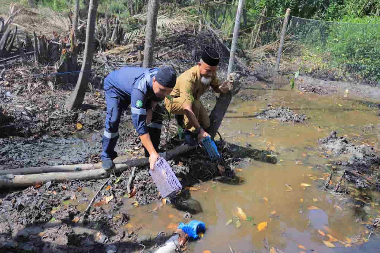 Timah Tbk Berdayakan Masyarakat di Area Tambang Melalui Program Budidaya dan Pertanian